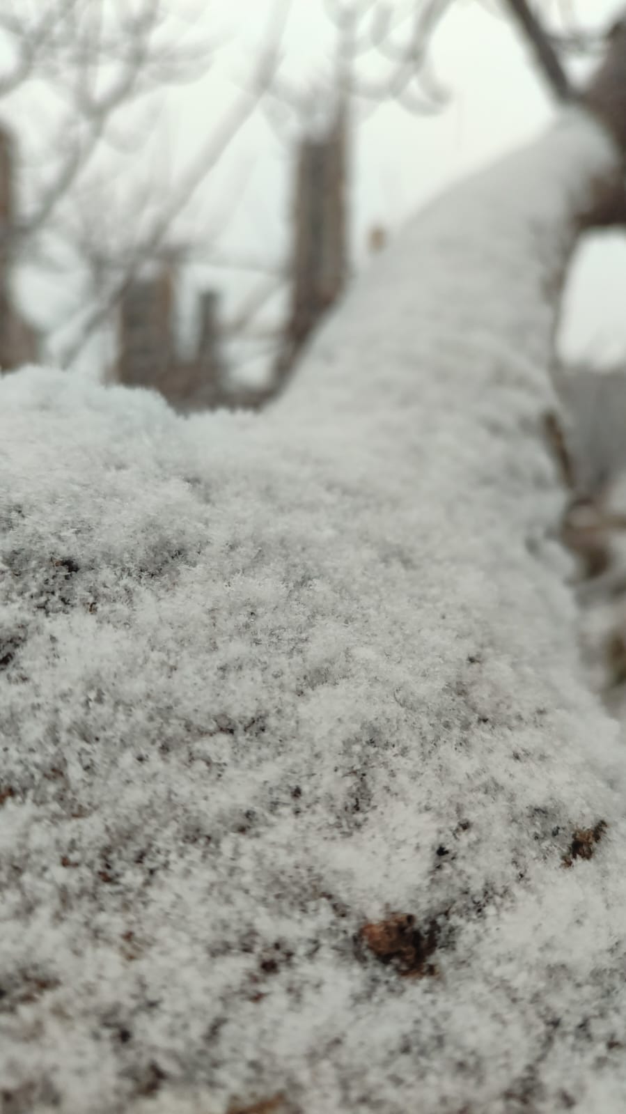 Aydın’da Kar Yağışı Başladı (2)