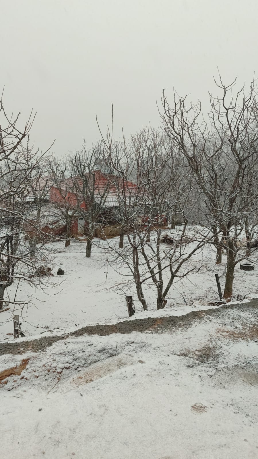 Aydın’da Kar Yağışı Başladı (3)