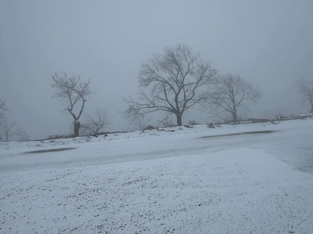 Aydın’da Kar Yağışı Başladı (5)