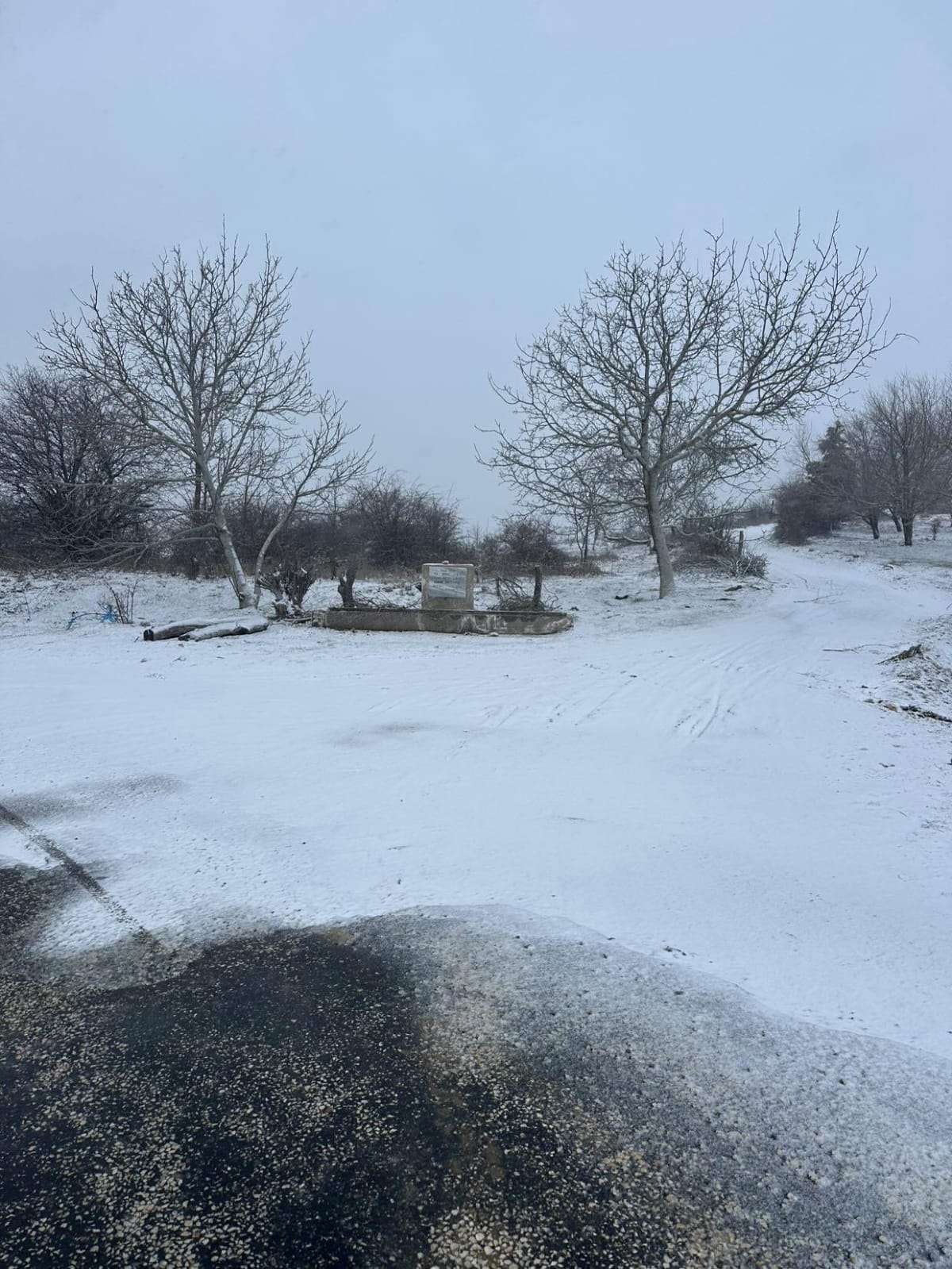 Aydın’da Kar Yağışı Başladı (8)