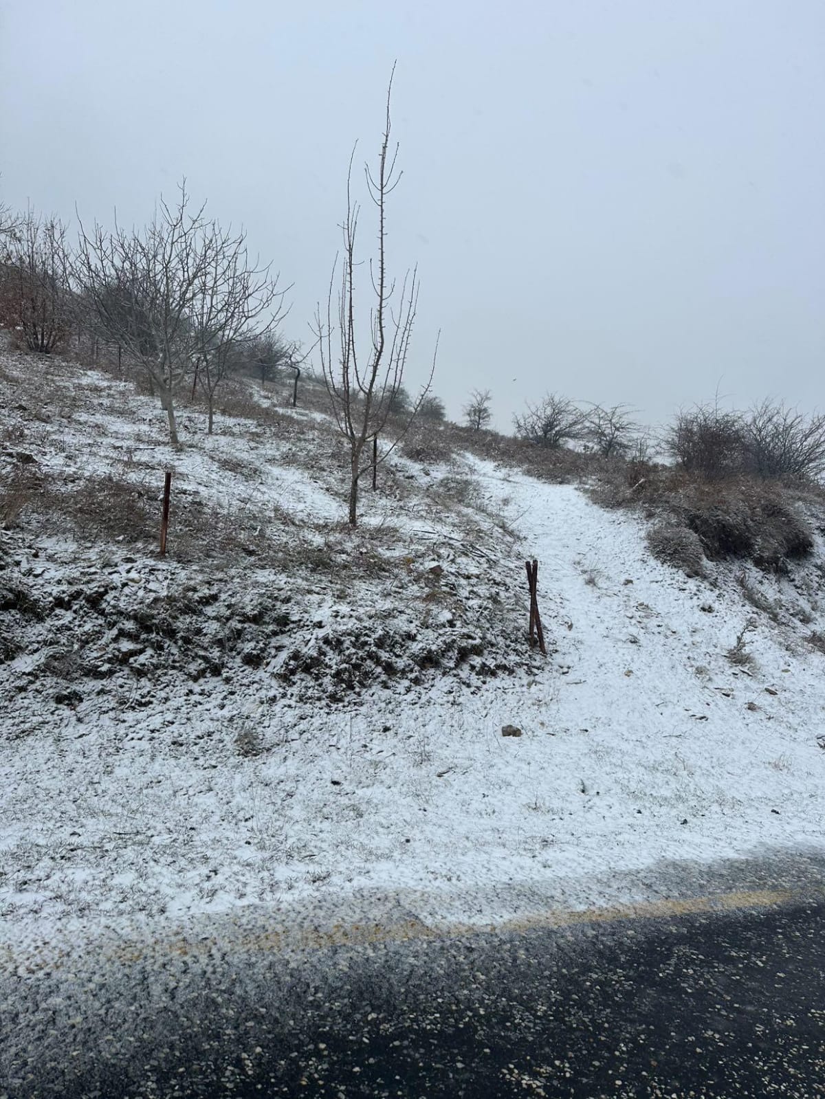 Aydın’da Kar Yağışı Başladı (9)