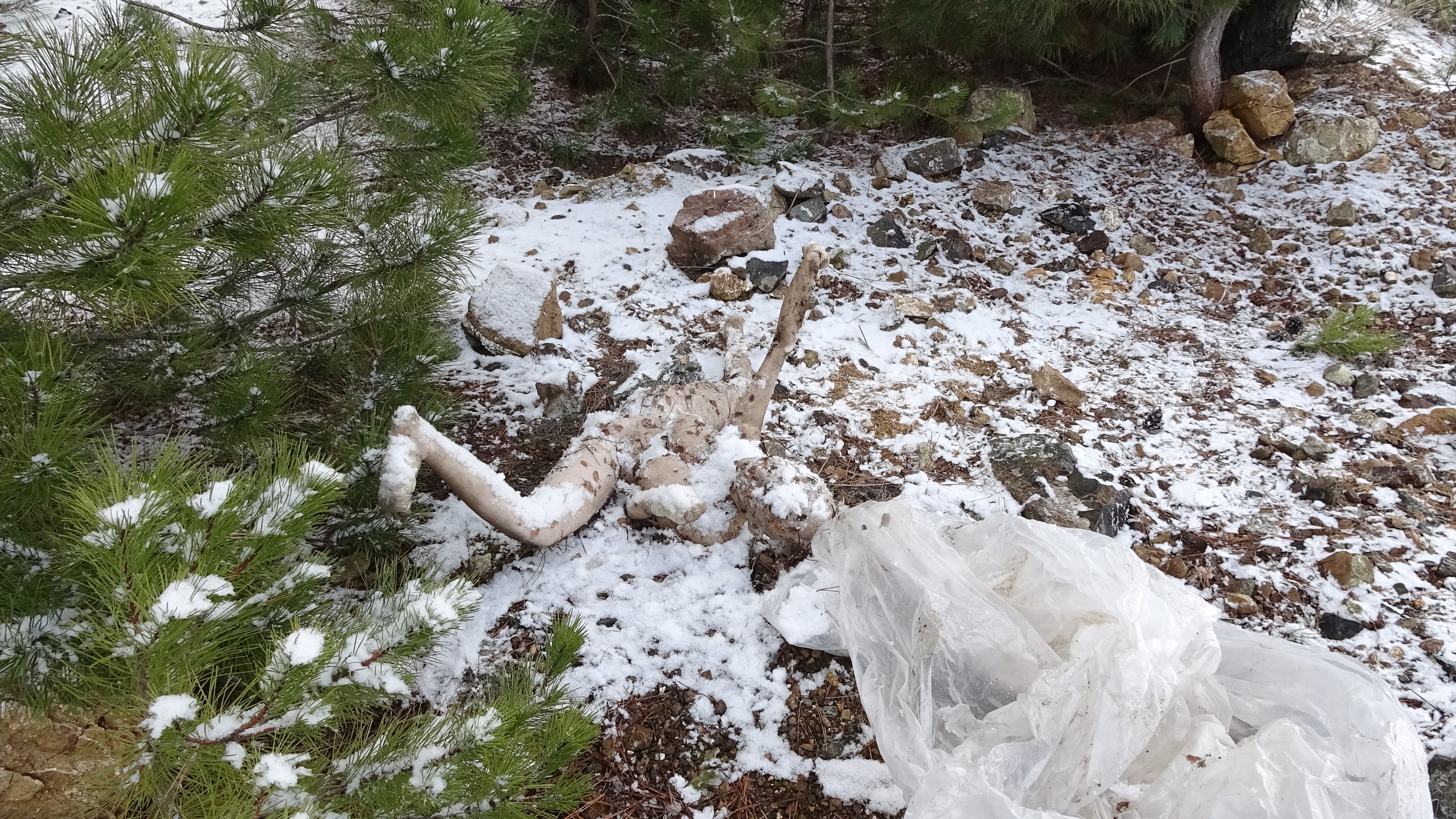 Cansız Beden Ihbarı Ile Olay Yerine Giden Ekipler Başka Bir Manzara Ile Karşılaştı (2)