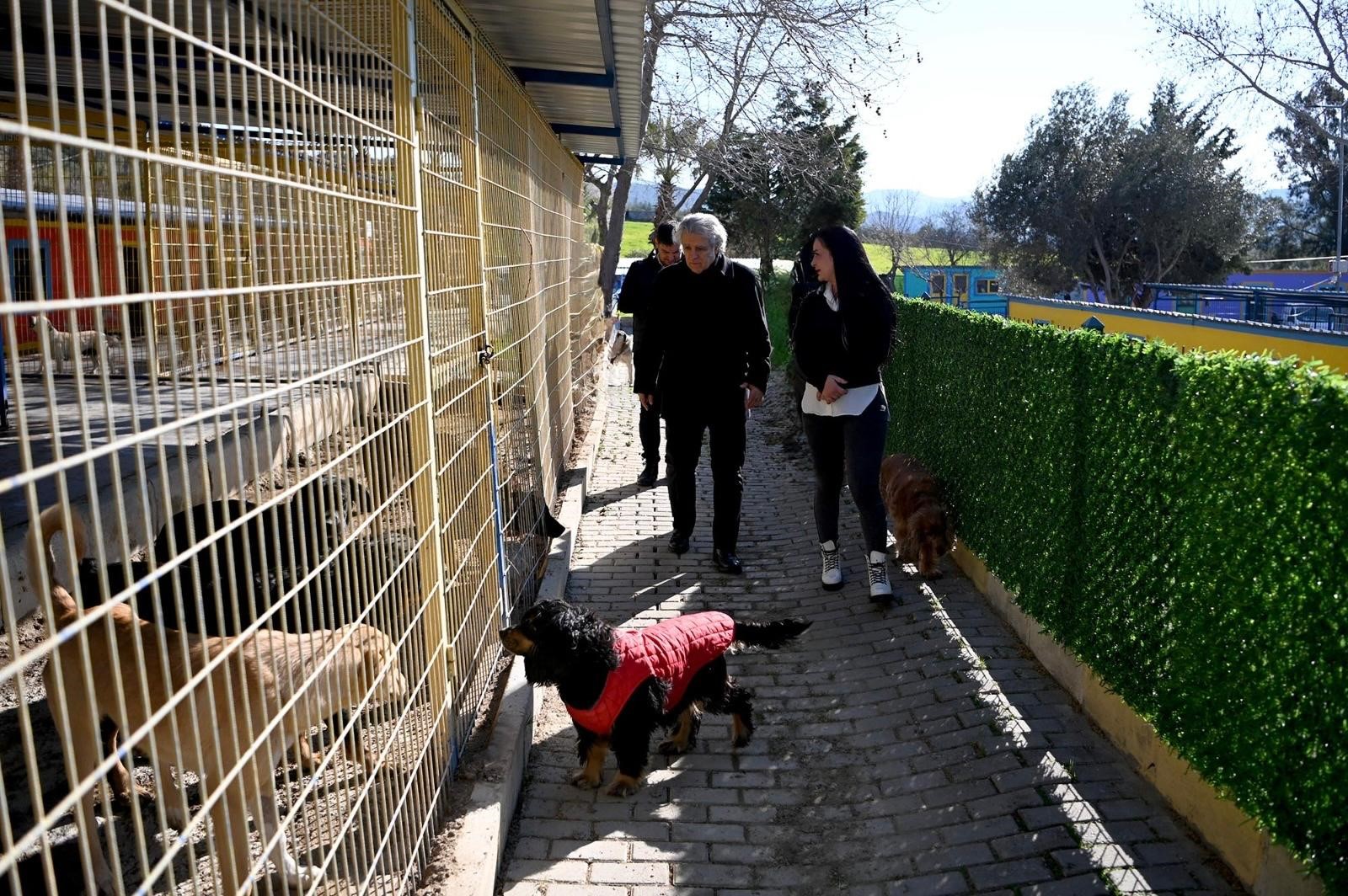 Kaymakam Keklik, Hayvan Rehabilitasyon Merkezi'ni Inceledi (3)