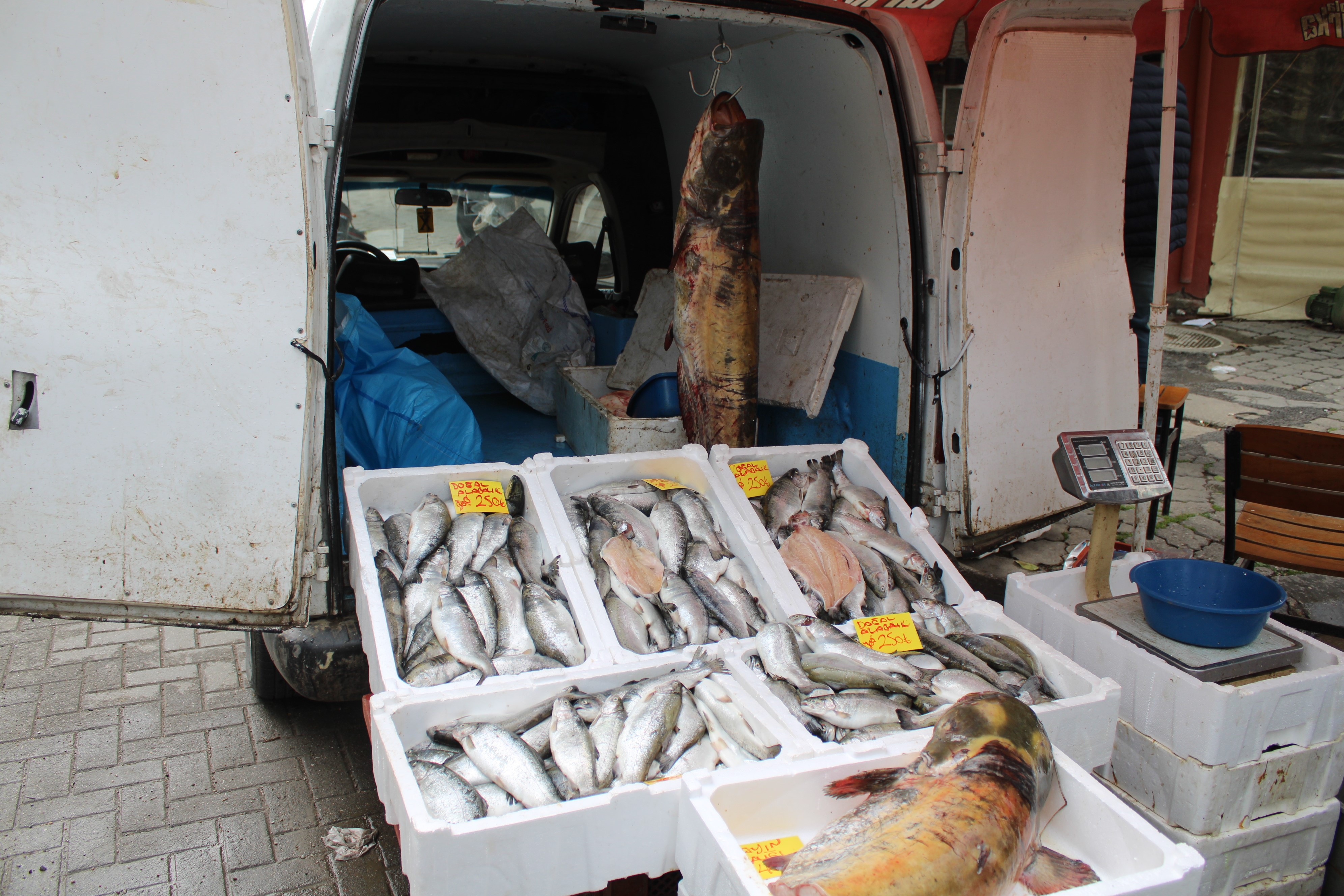 Aydın’da Balık Bitti (2)