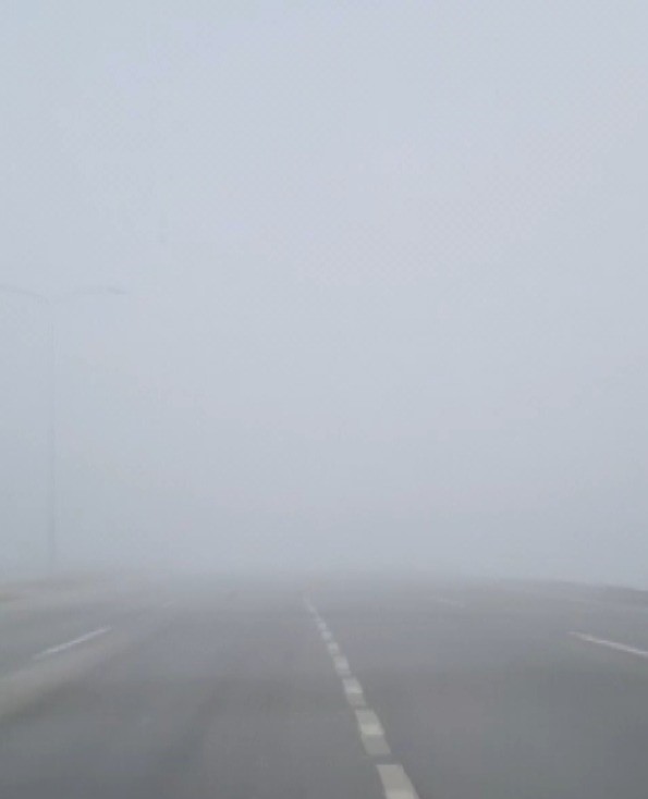 Aydın’da Sis Etkili Oluyor (2)