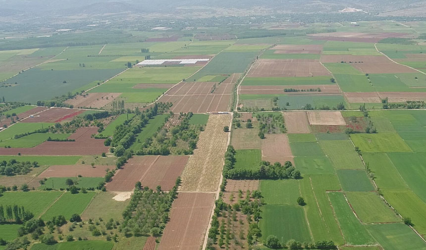 İzmir’de 18 Dönüm Tarım Arazisi Mahkemeden Satışa Çıktı.