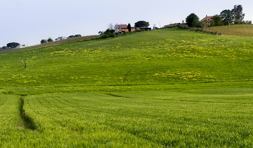 İzmir’de Vergi Dairesinden Satılık Arsa (2)