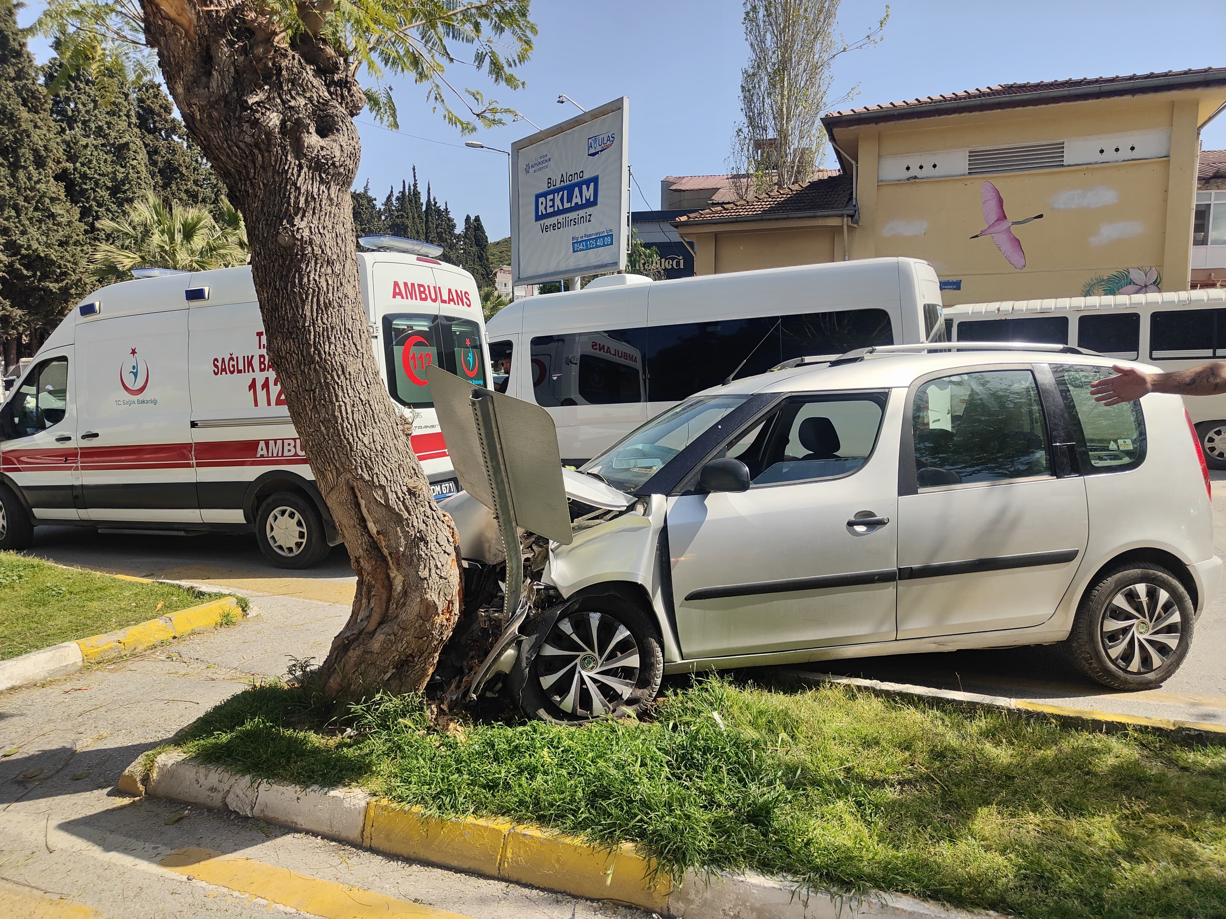 Aydın Kuşadası’nda Tansiyonu Düşen Sürücü Ağaca Çarptı