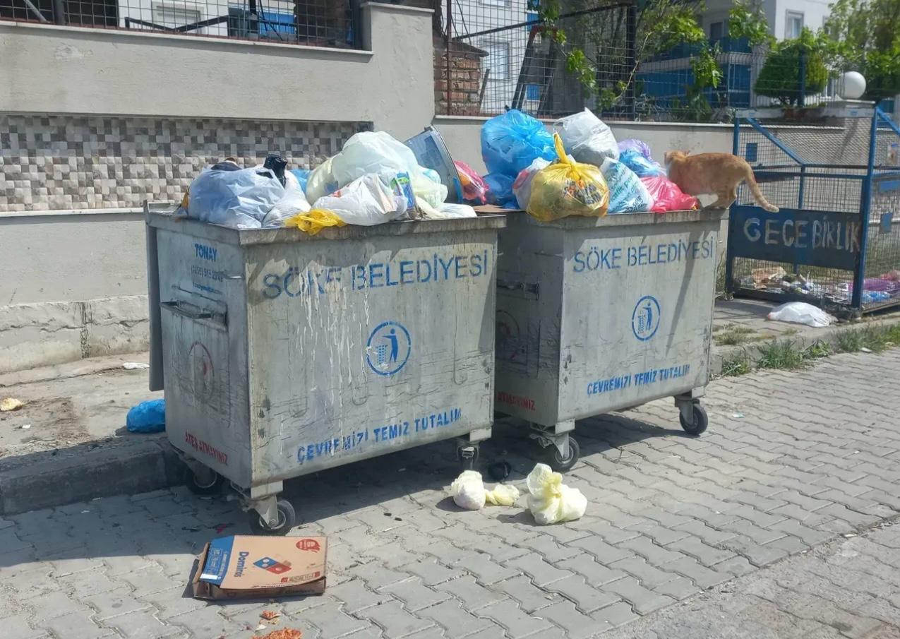 Aydın Söke’de Çöp Sorunu Büyüyor (7)