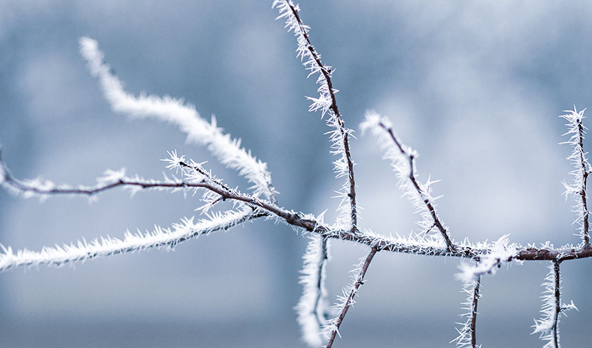 Aydın’a Meteorolojiden Don Uyarısı Yapıldı