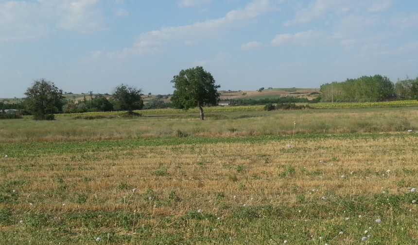 Aydın’da 4.903 Metrekare Arsa Mahkemeden Satışa Çıktı (2)