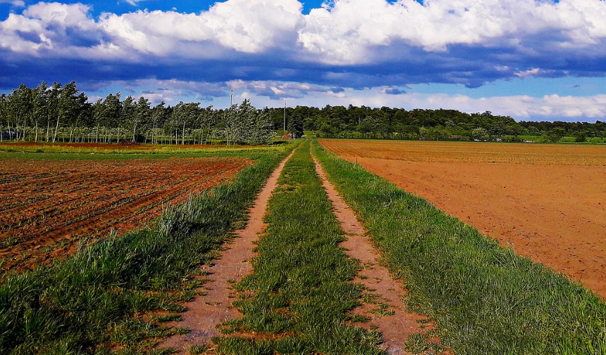 Aydın’da 5 Dönümlük Tarla Icradan Satışa Çıkıyor (2)