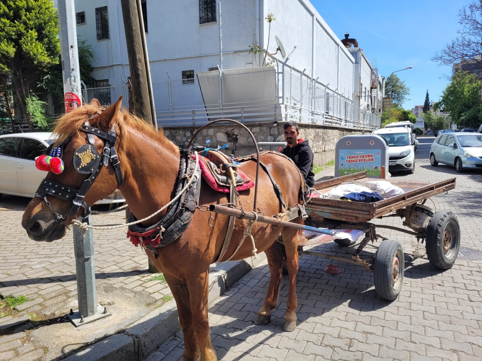 Aydın’da At Arabasıyla 5 Çocuğuna Bakıyor (3)