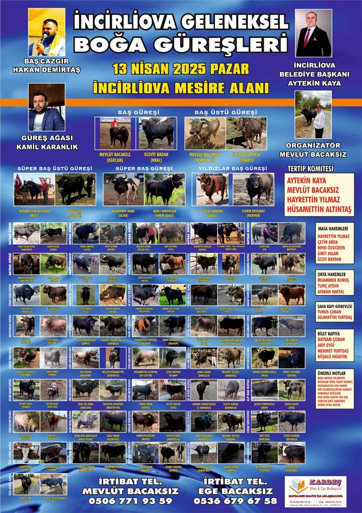 Aydın’da Boğa Güreşi Tarihi Belli Oldu.. Geri Sayım Başladı (2)