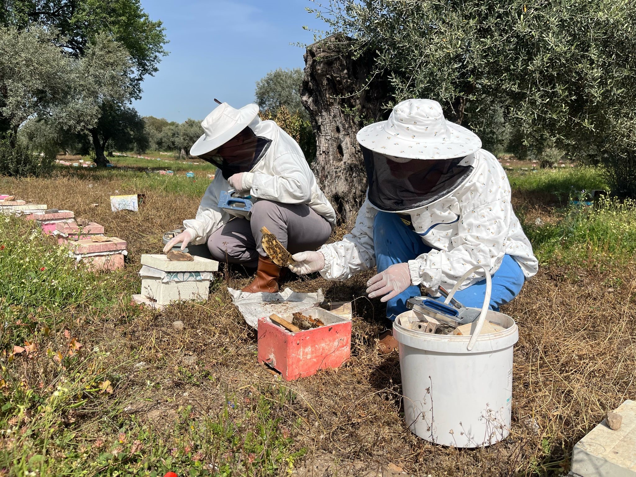 Aydın’da Gelin Görümcenin Büyük Başarısı (4)