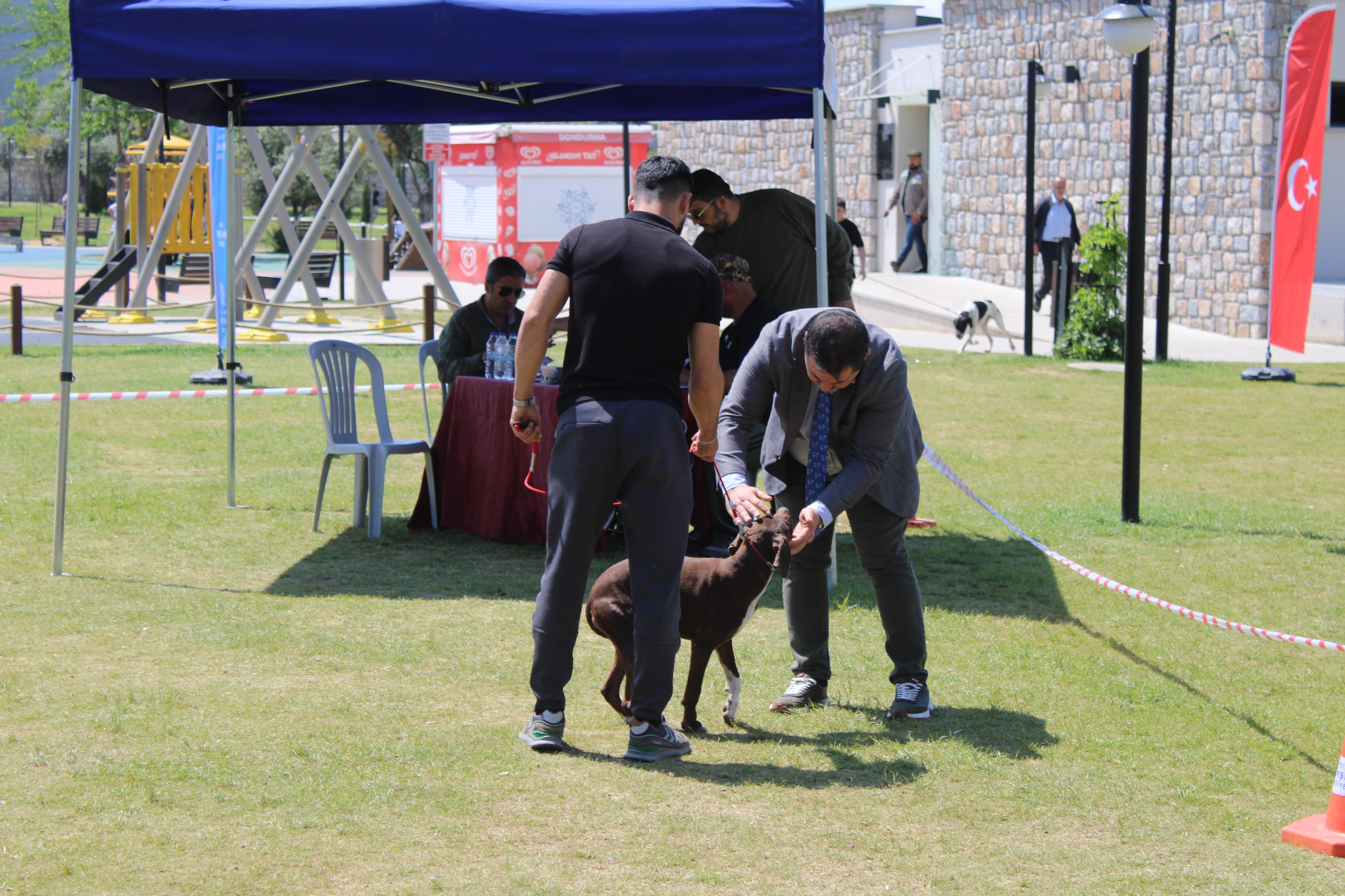 Aydın’da Köpek Güzellik Yarışması Düzenlendi (2)