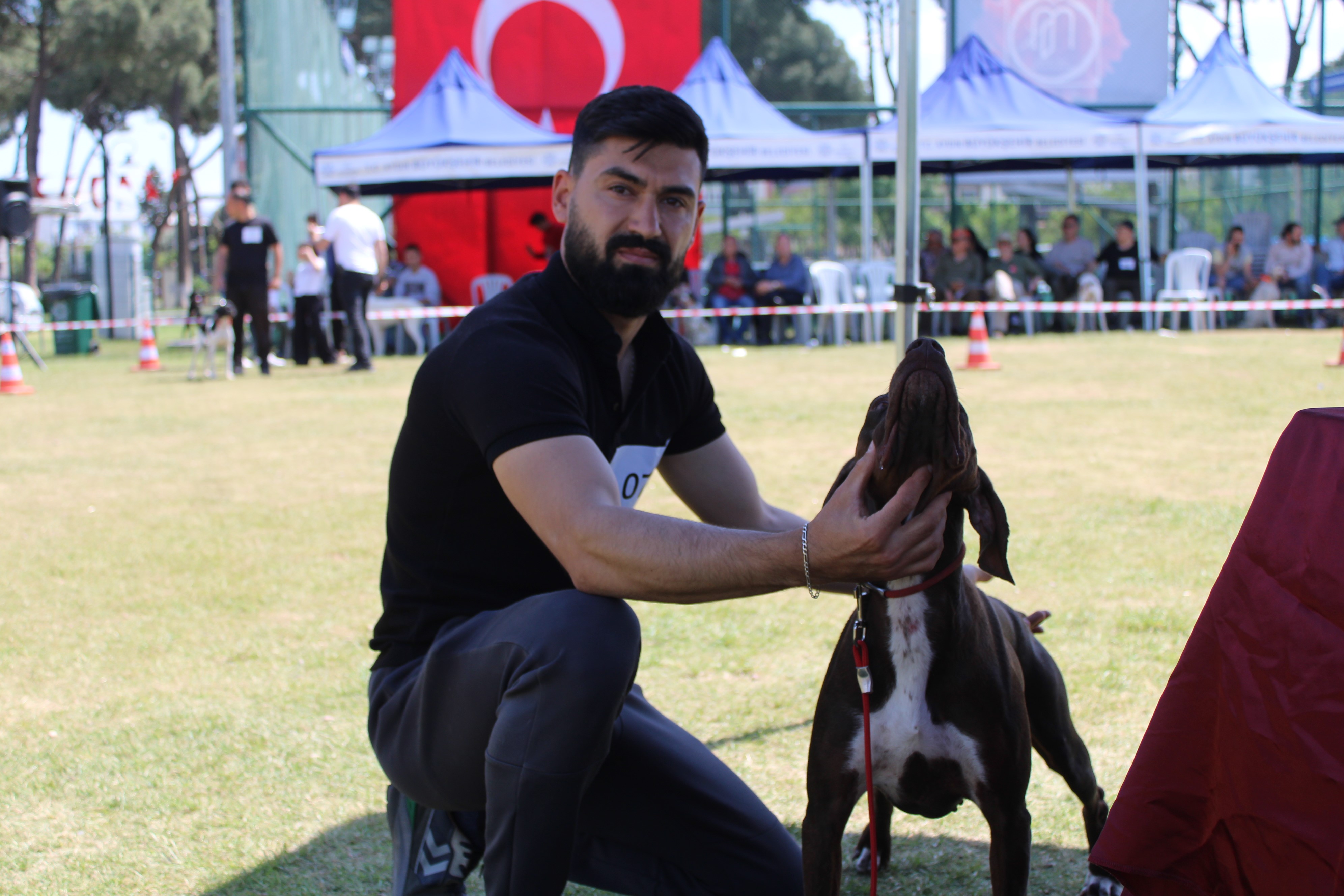 Aydın’da Köpek Güzellik Yarışması Düzenlendi (3)