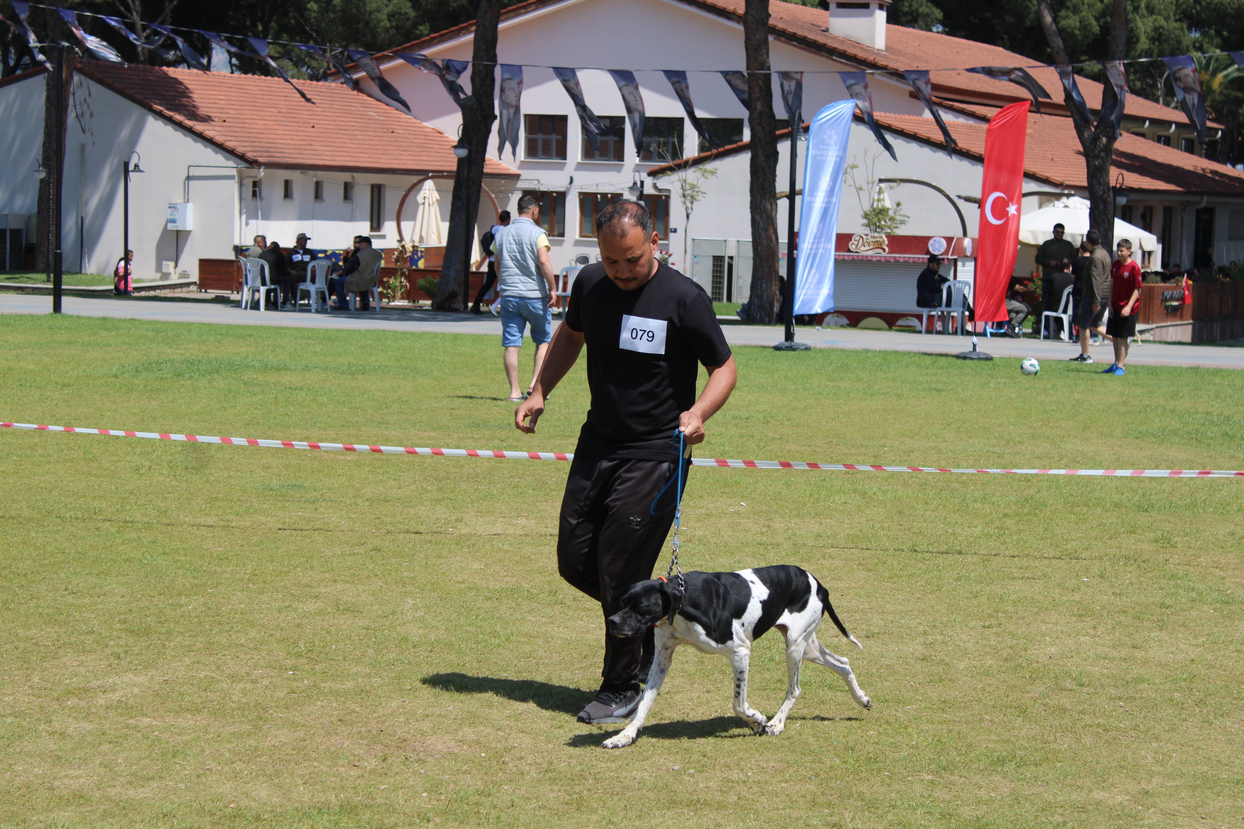 Aydın’da Köpek Güzellik Yarışması Düzenlendi (4)