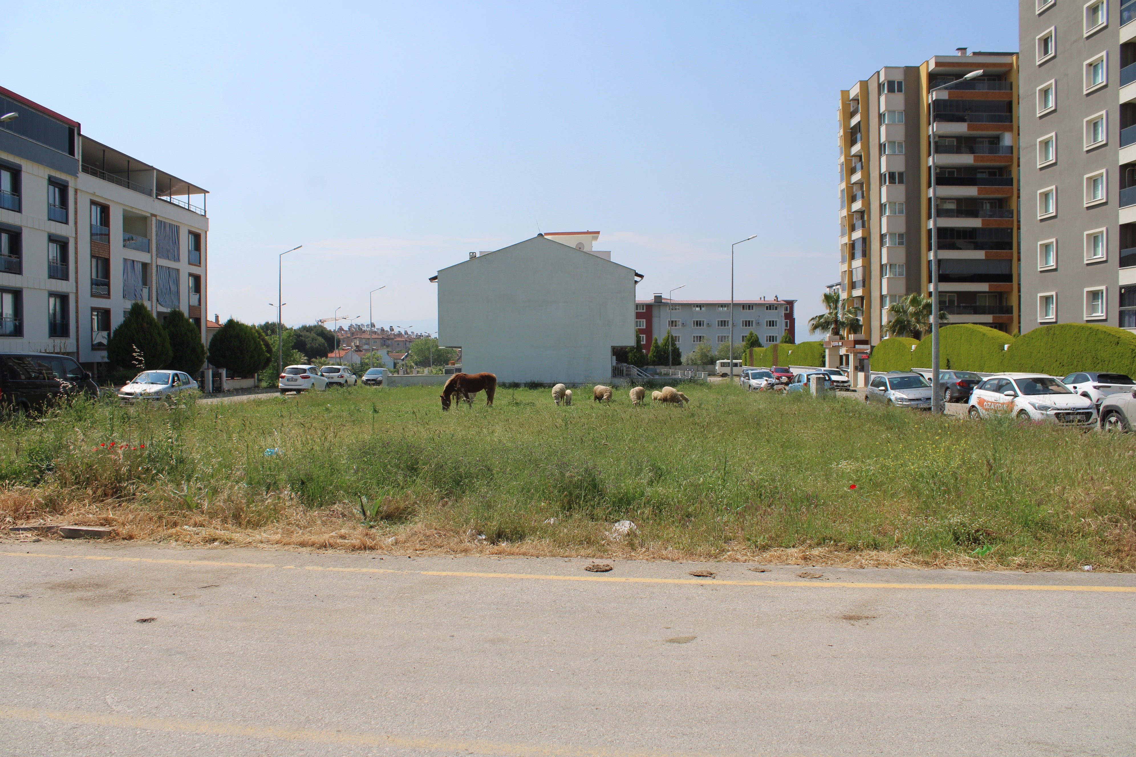 Aydın’da Mahalle Sakinleri Tedirgin, Yetkililerden Yardım Bekliyor (5)