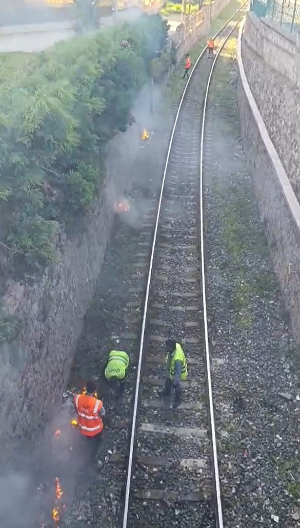 Aydın’da Pes Dedirten Çalışma.. Tren Raylarını Yakarak Temizlediler (3)
