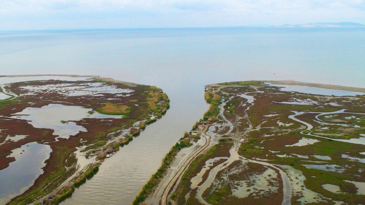 Bu Balık Aydın’a 7 Bin Kilometre Uzaktan Geliyor.. Yiyen Tadına Doyamıyor (5)