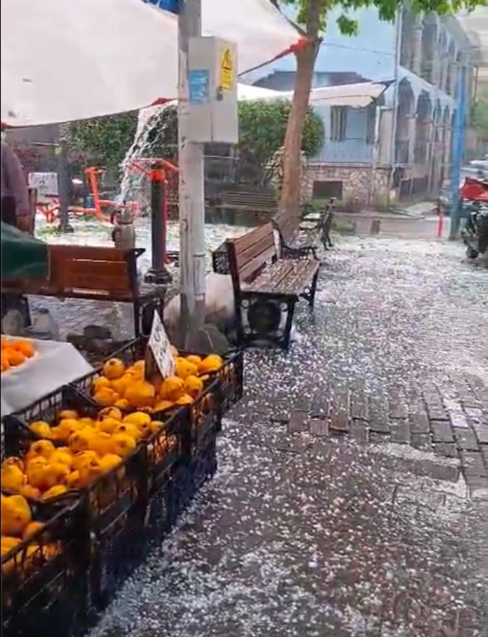 Denizli’nin Simgesi Horozdan Kötü Haber (4)