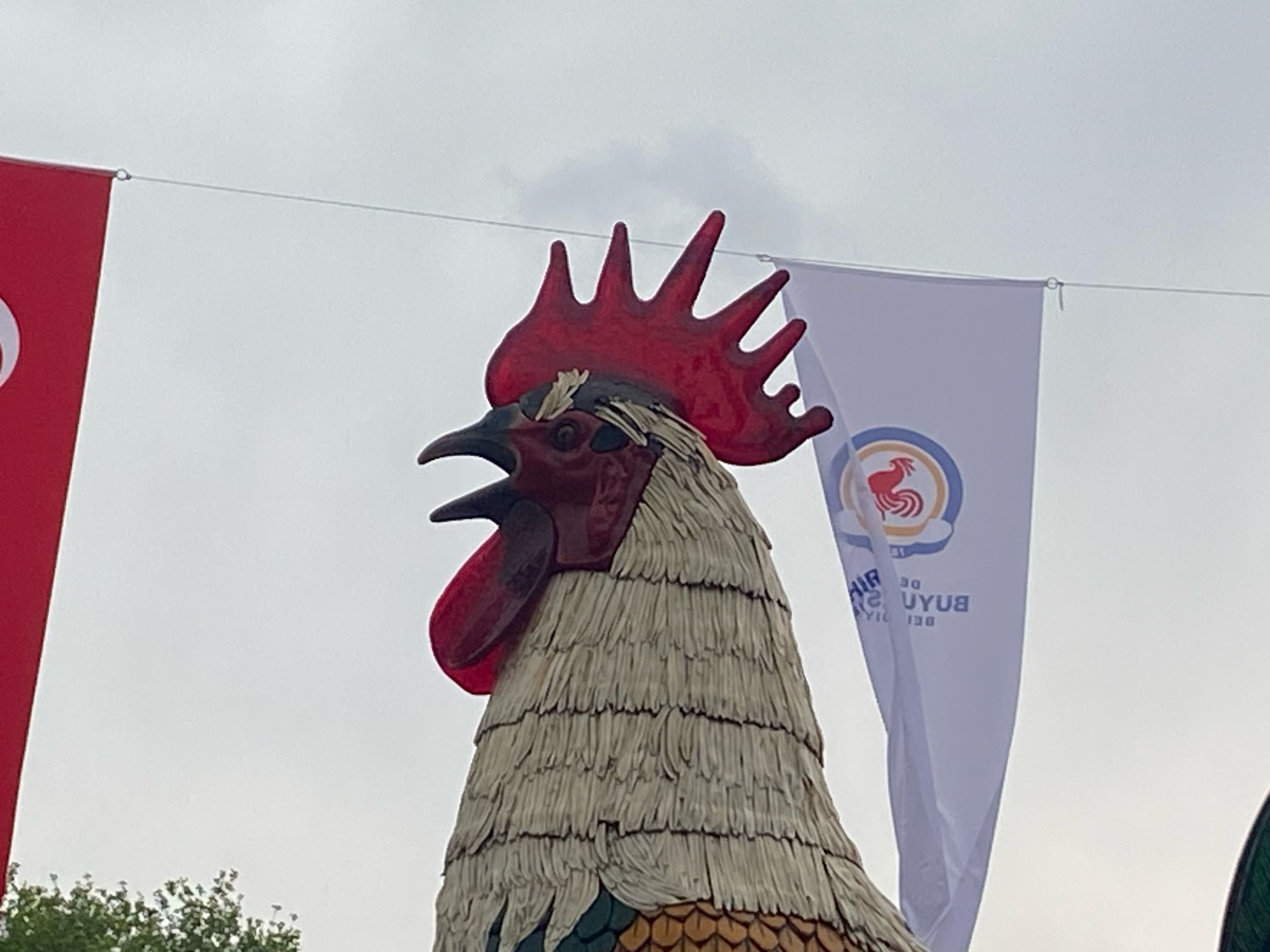 Denizli’nin Simgesi Horozdan Kötü Haber