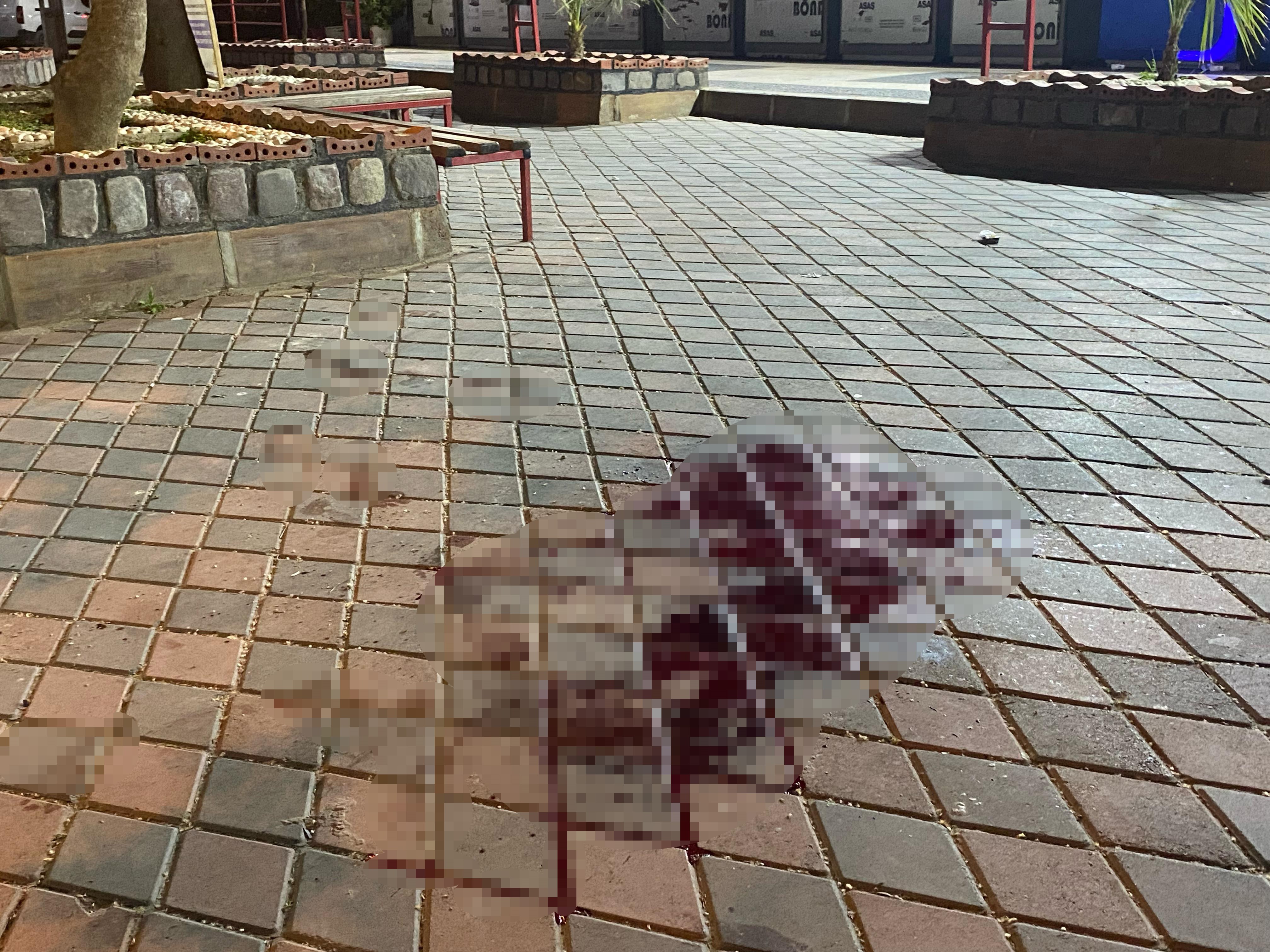 Eşini Öldürdü, 8 Yaşındaki Kızını Da Yaraladı (3)