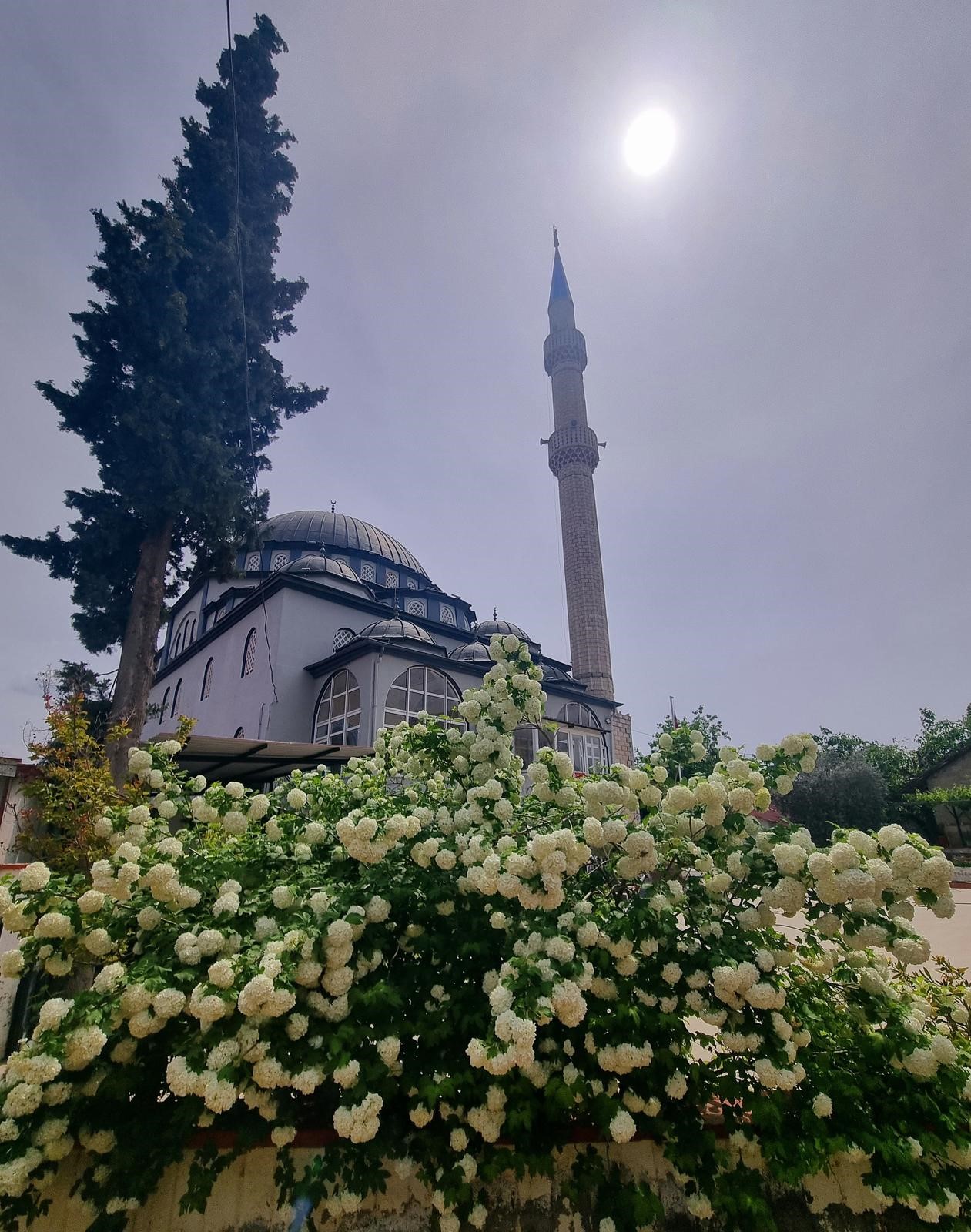 İmam, Camiyi Çiçek Bahçesine Çevirdi (6)