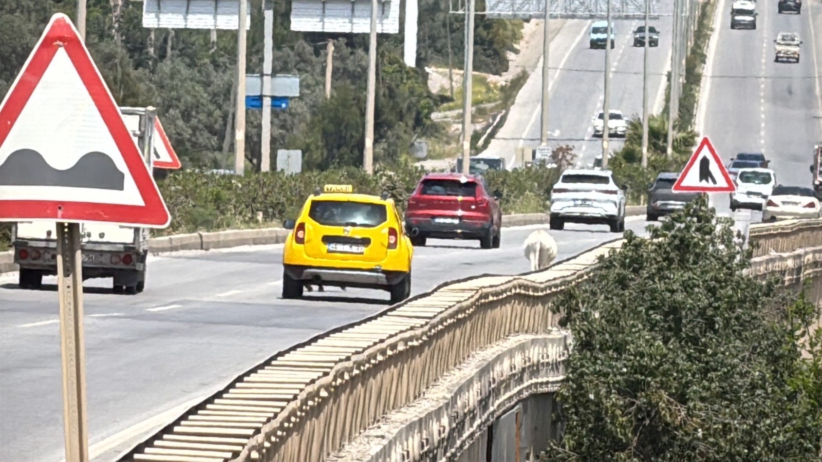 Muğla’da Karayoluna Çıkan Eşekler Radara Yakalandı (7)