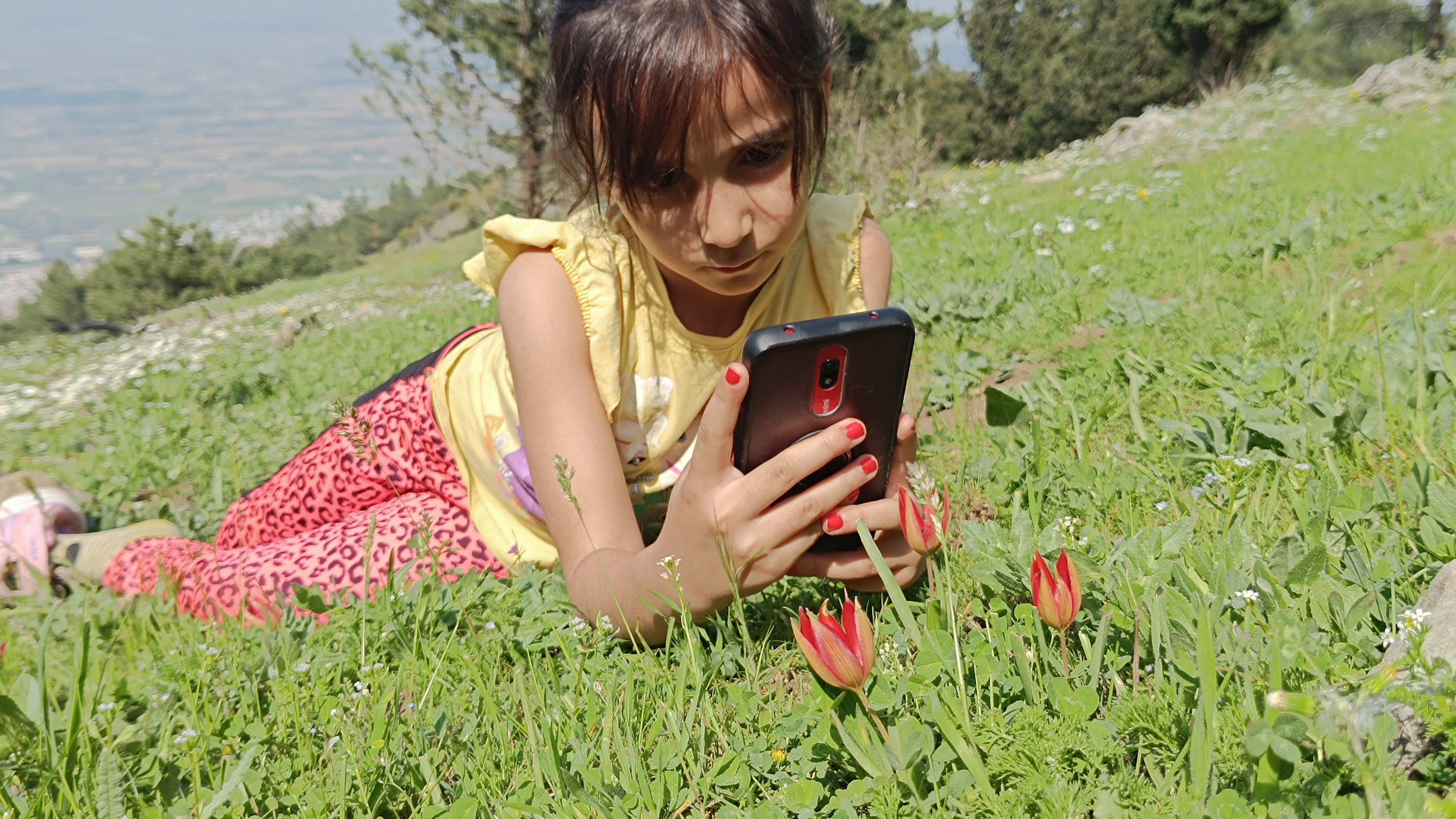 Senede Bir Kere Açıyor, Sadece 10 Gün Yaşıyor (6)