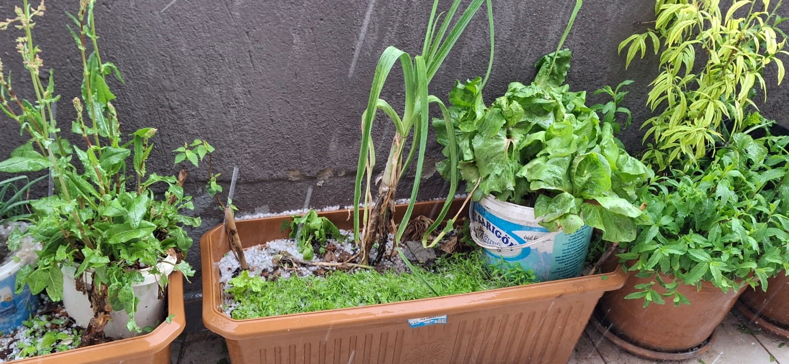 Şiddetli Dolu Yağışı Kar Manzaraları Oluşturdu (4)