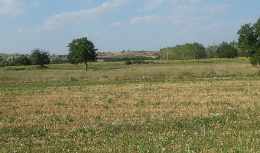 Toki̇’den Aydın’da 115 Milyonluk Arsa Satışı.. Ödeme Kolaylıkları Sunuluyor (2)