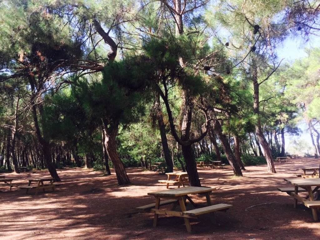 Aydın Ve İzmir’e Yakın Doğayla Buluşma Noktası (3)