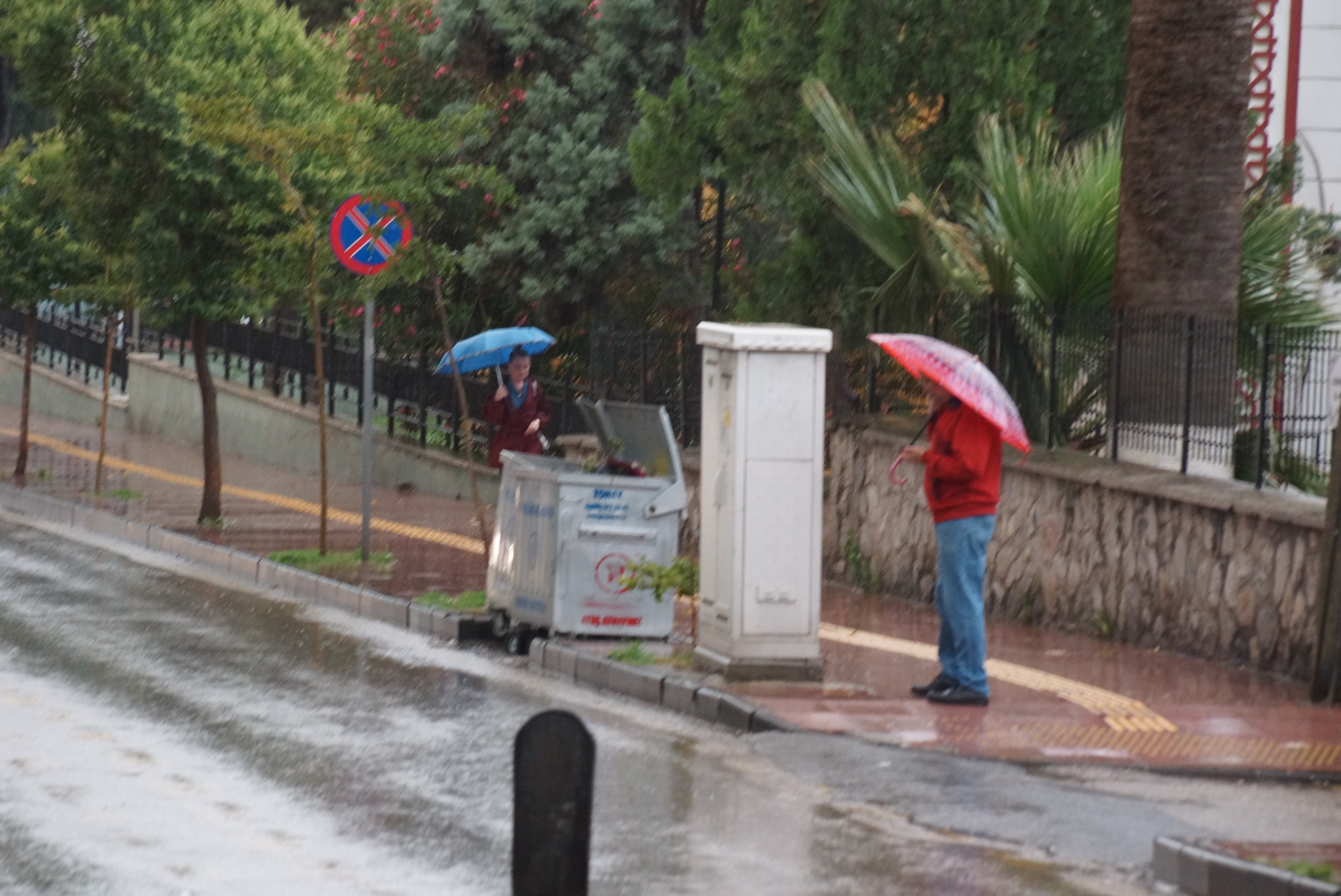 Aydın’a Bereket Yağıyor (4)-1