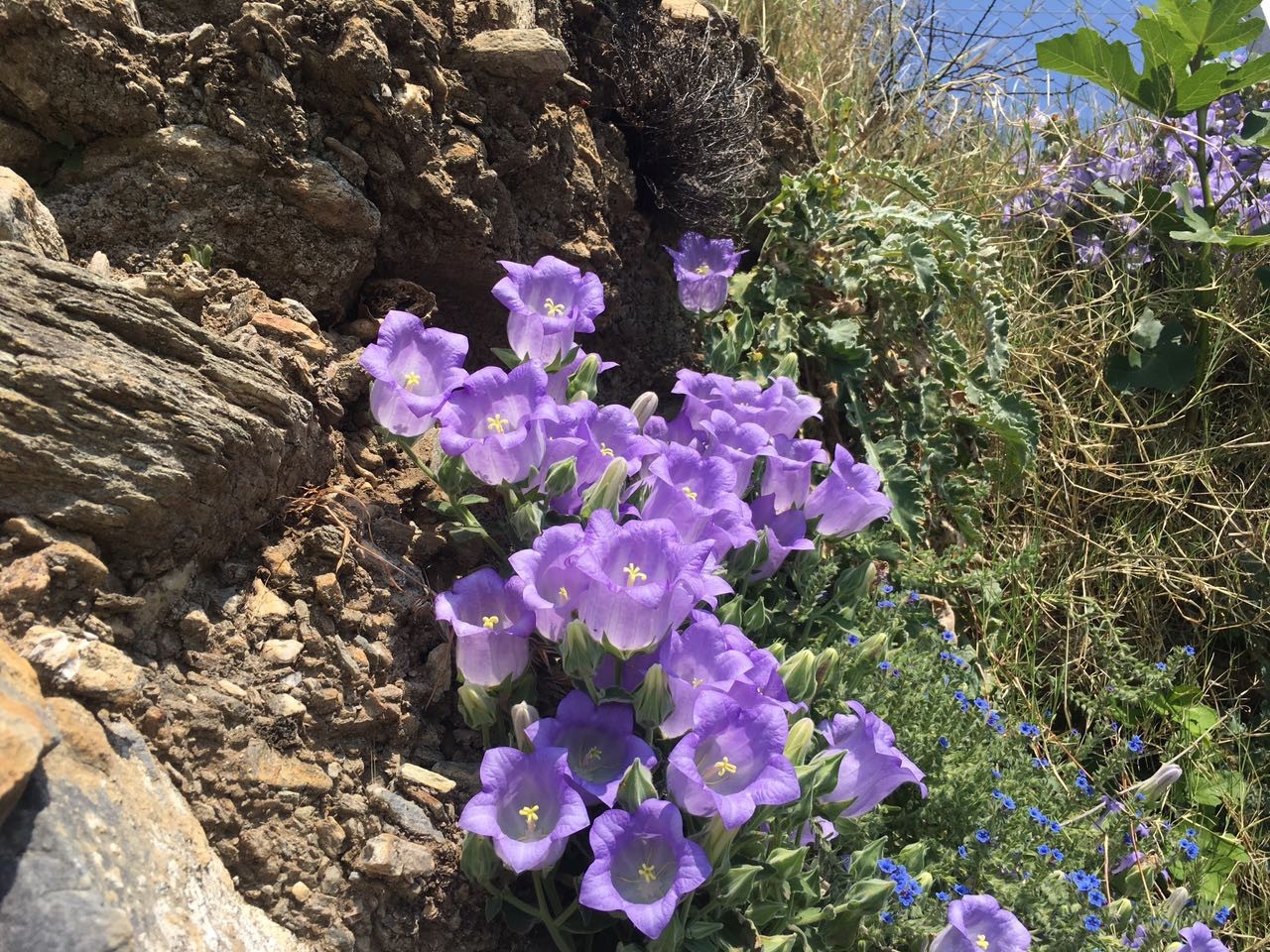 Aydın’a Önemli Bilgilendirme.. 577 Bin Lira Cezası Var (6)