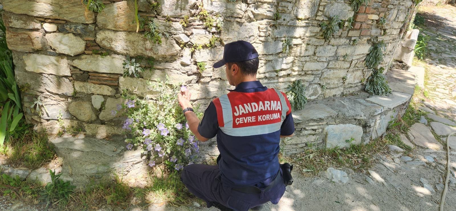 Aydın’a Önemli Bilgilendirme.. 577 Bin Lira Cezası Var