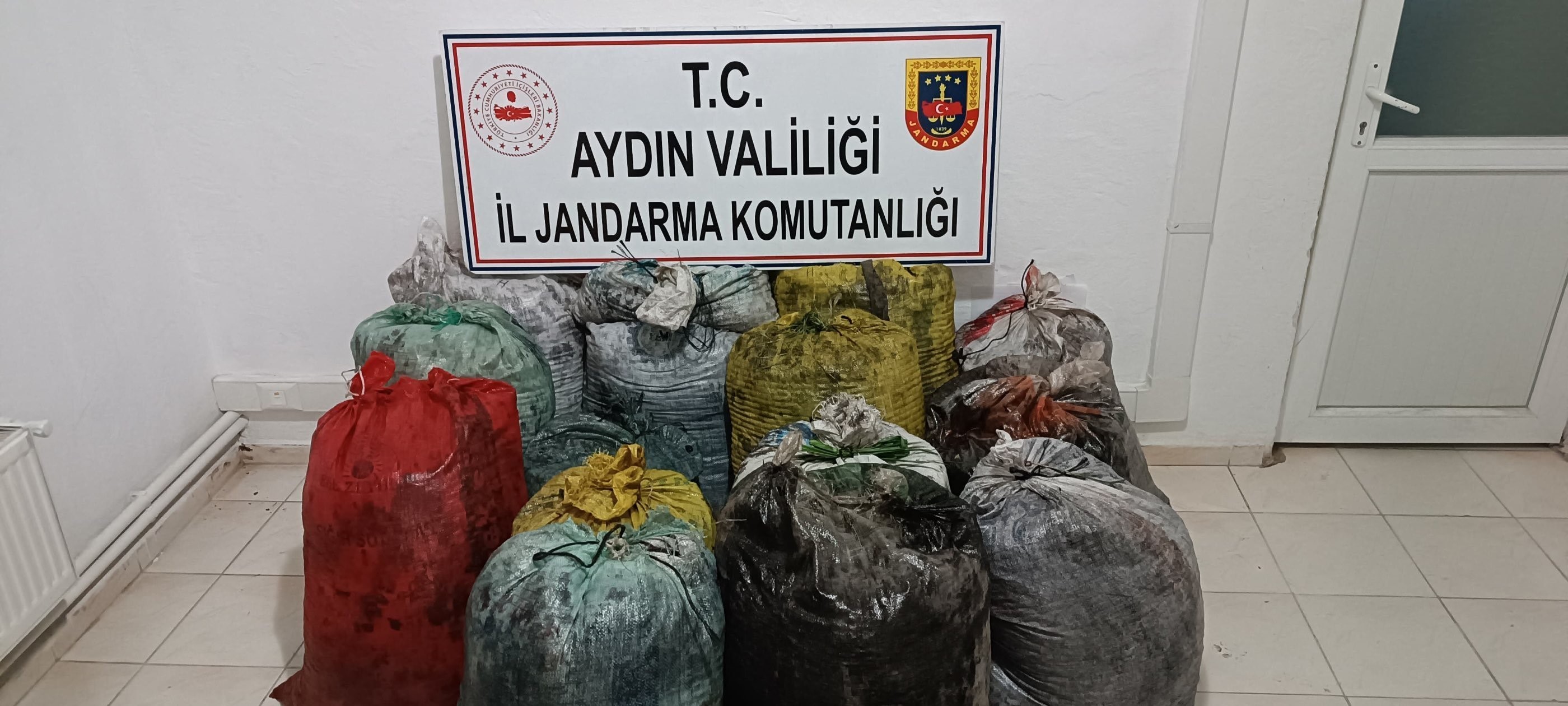 Aydın’da 2 Erkek, 9 Kadın Zeytinlikte Yakalandı
