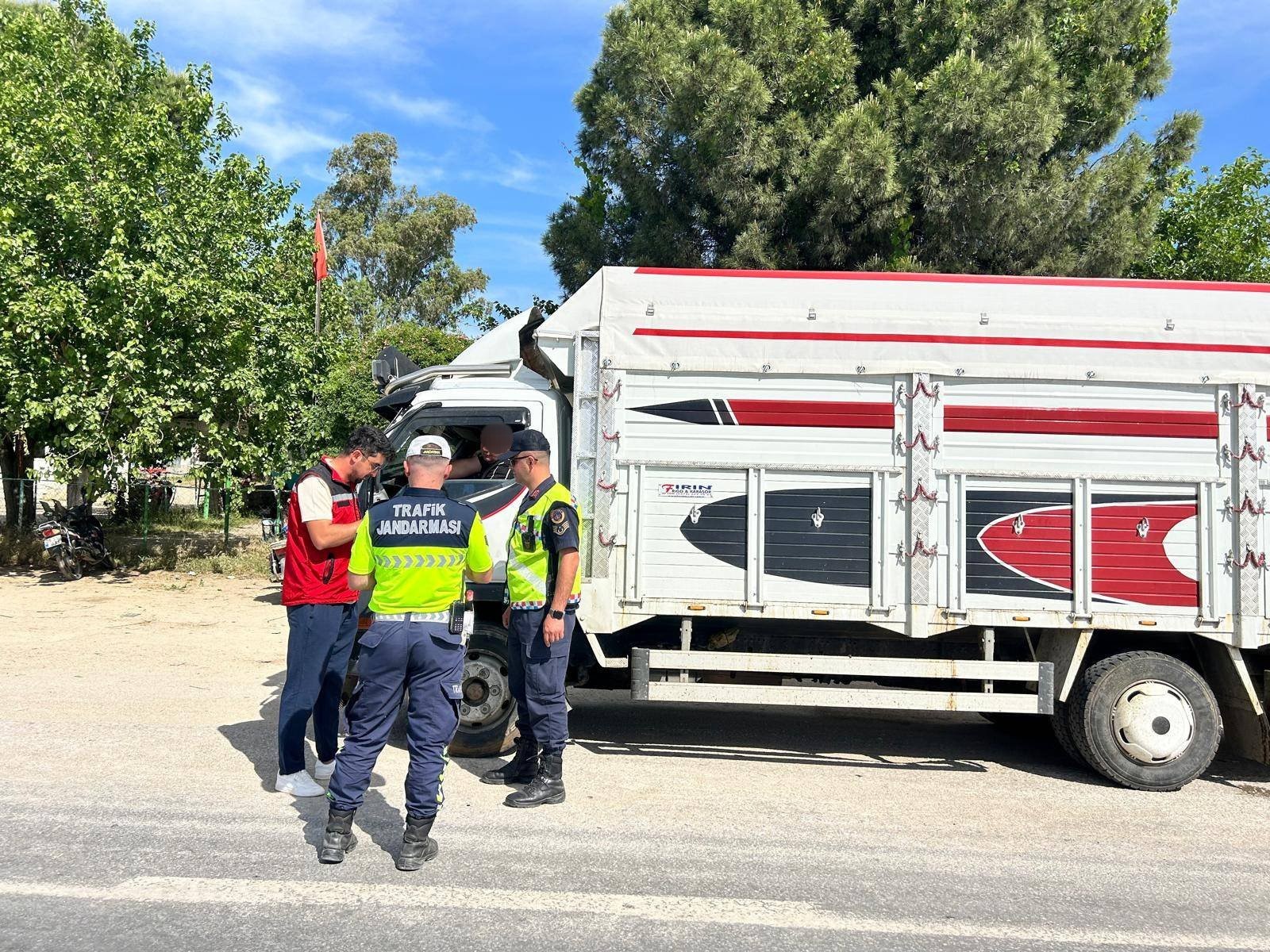Aydın’da Canlı Hayvan Taşıyanlar Yakalandı (3)