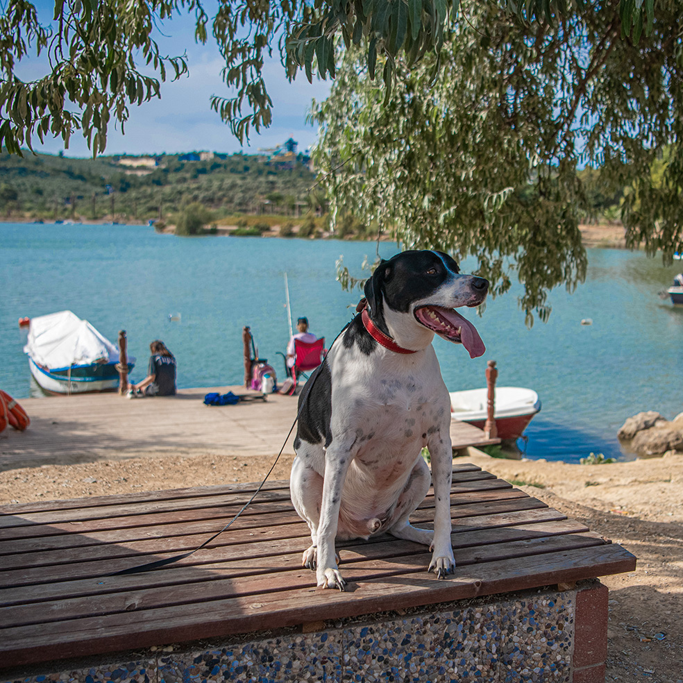 Aydın’da Doğayla Iç Içe Kaçamak (12)