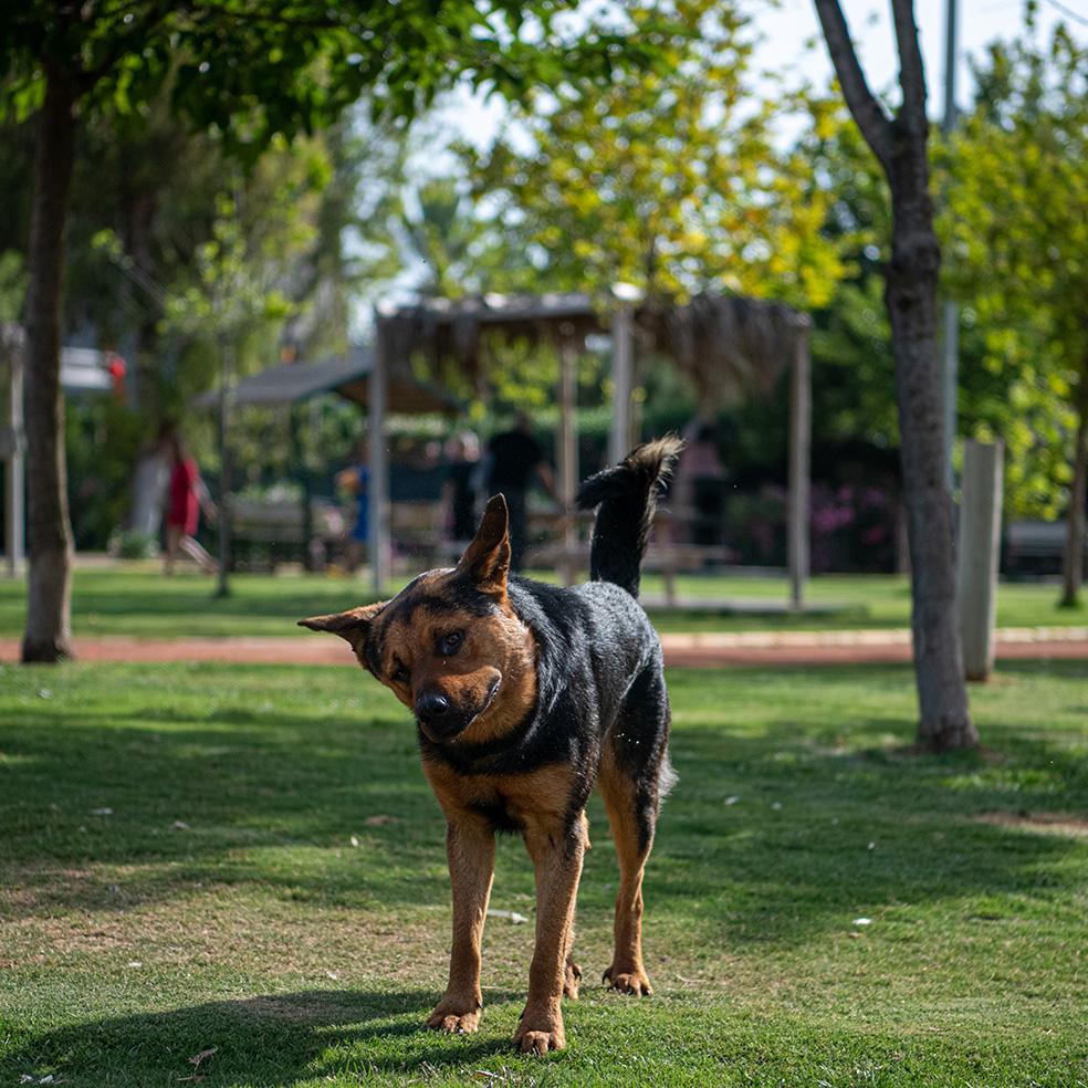 Aydın’da Doğayla Iç Içe Kaçamak (2)