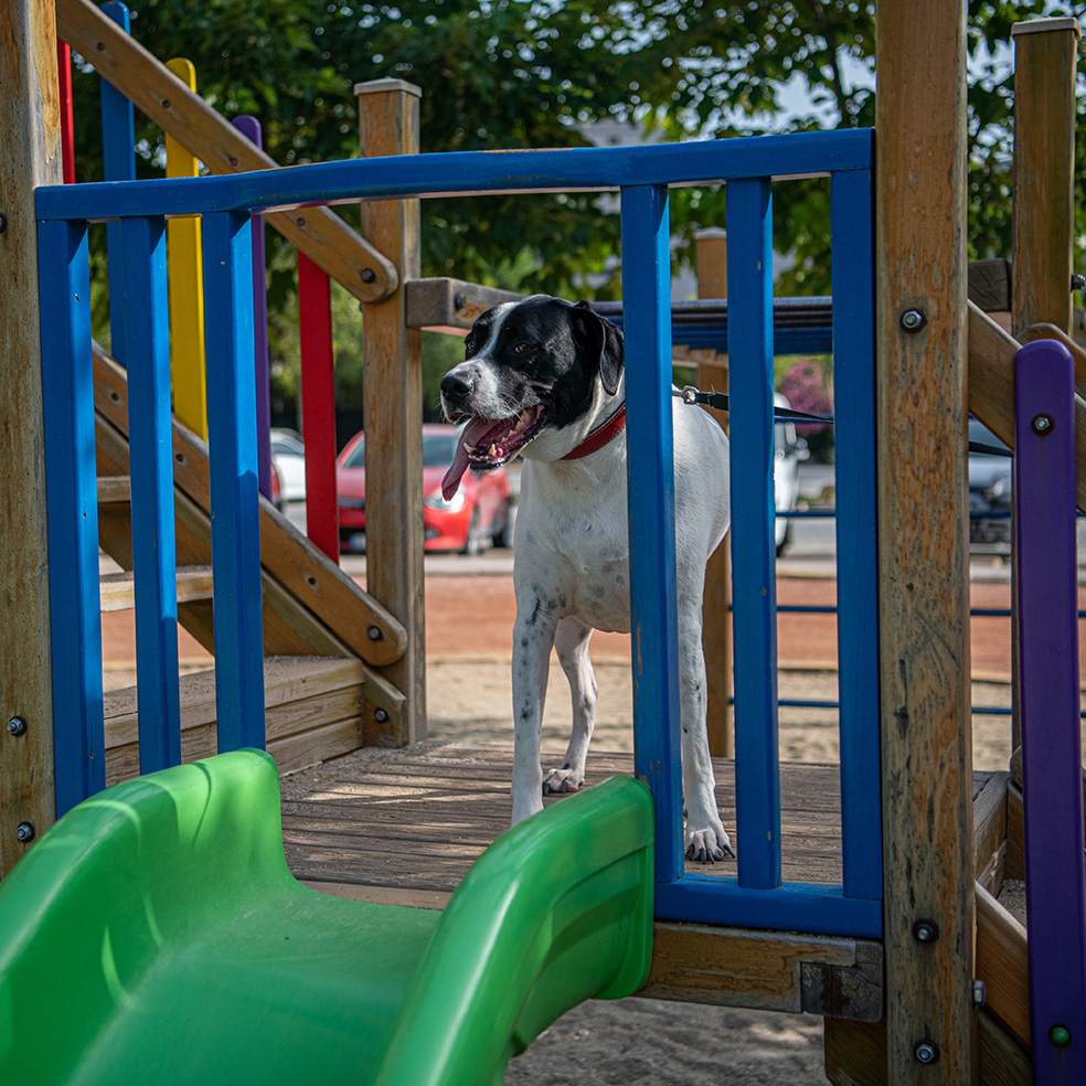 Aydın’da Doğayla Iç Içe Kaçamak (6)