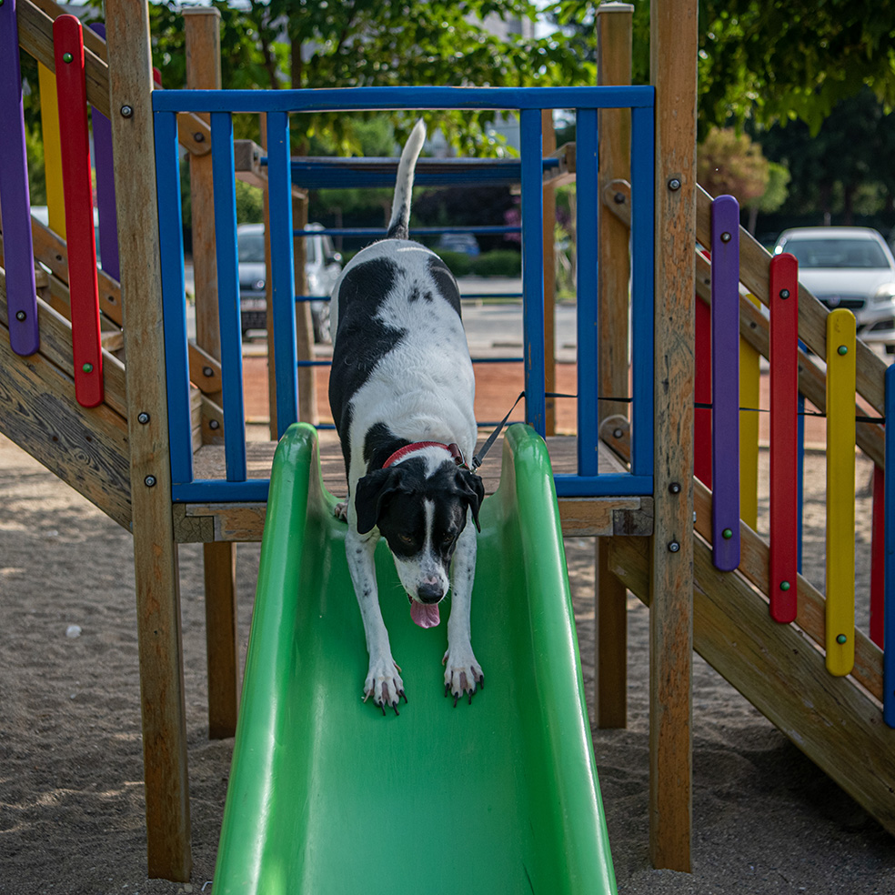 Aydın’da Doğayla Iç Içe Kaçamak (7)