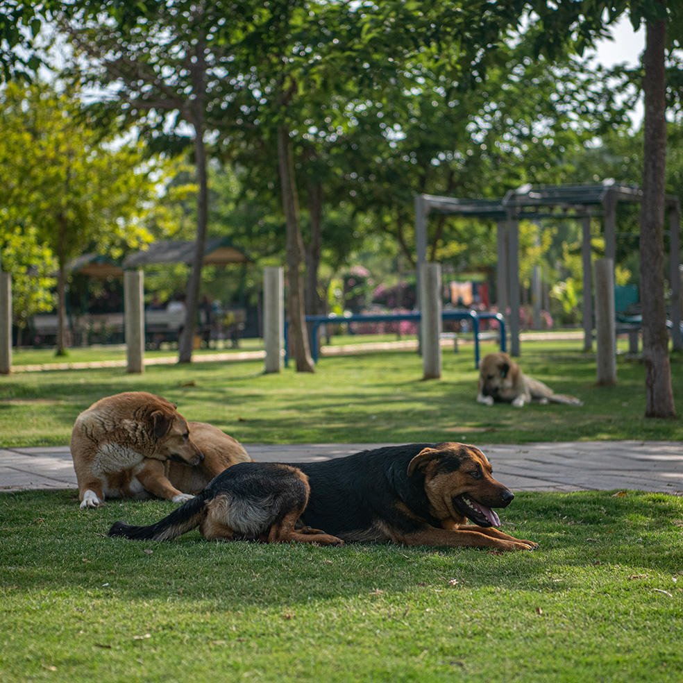 Aydın’da Doğayla Iç Içe Kaçamak (8)