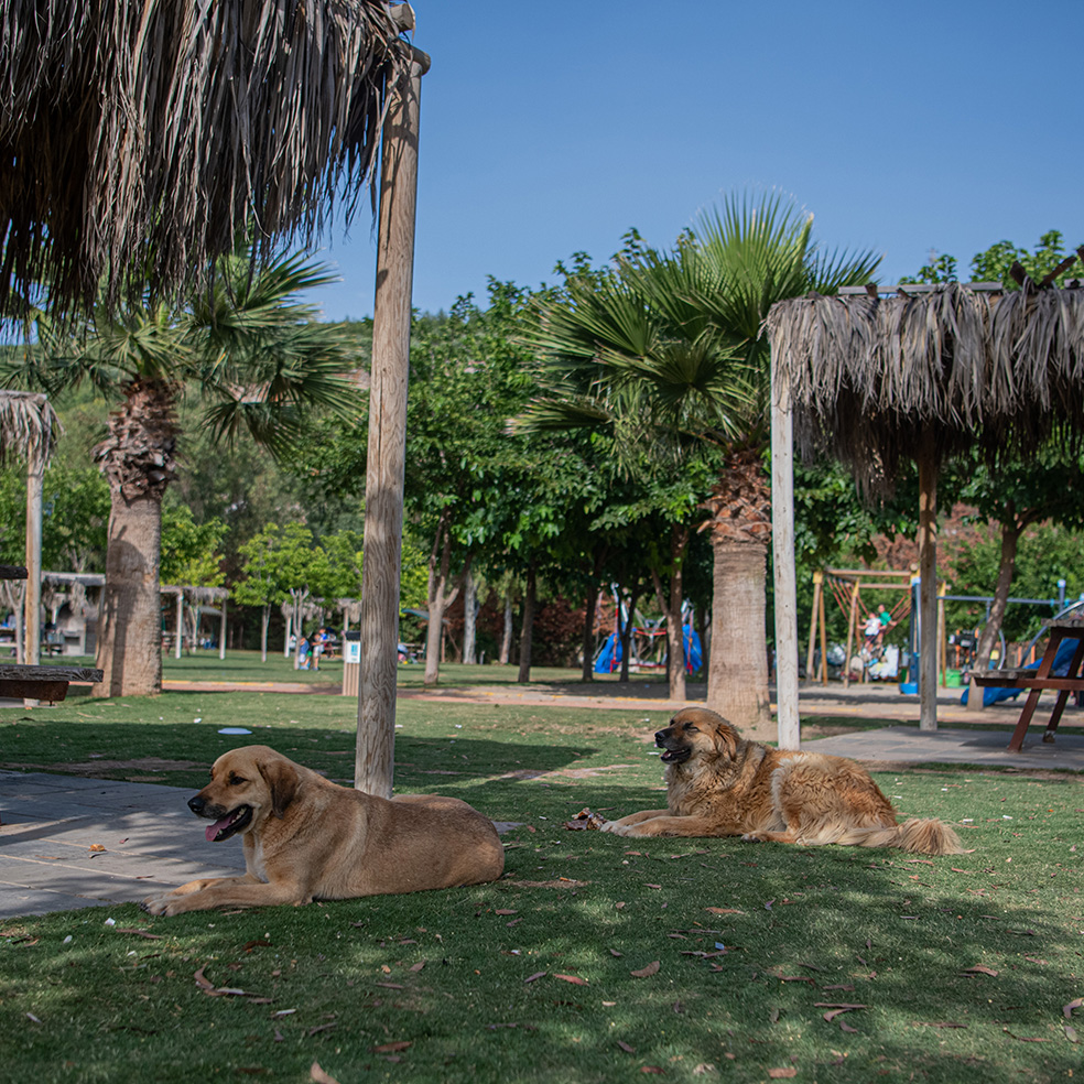 Aydın’da Doğayla Iç Içe Kaçamak (9)