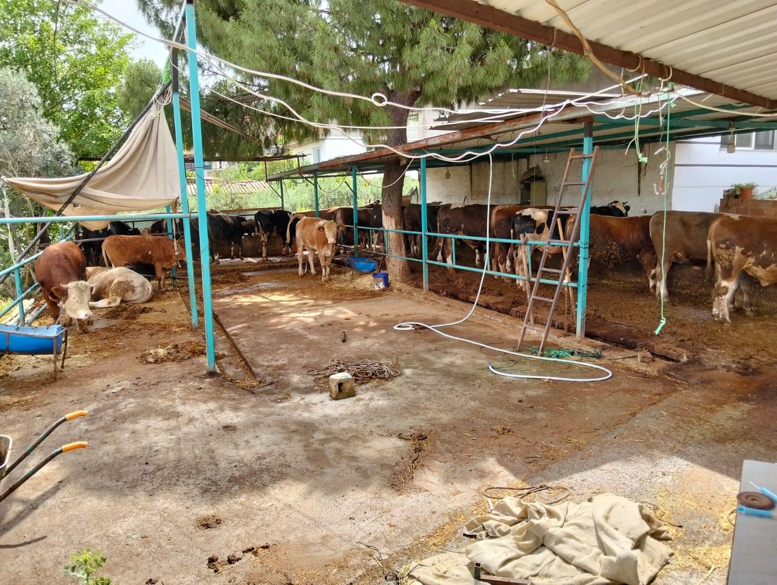 Aydın’da Ekipler Kurban Satış Yerlerinde (7)