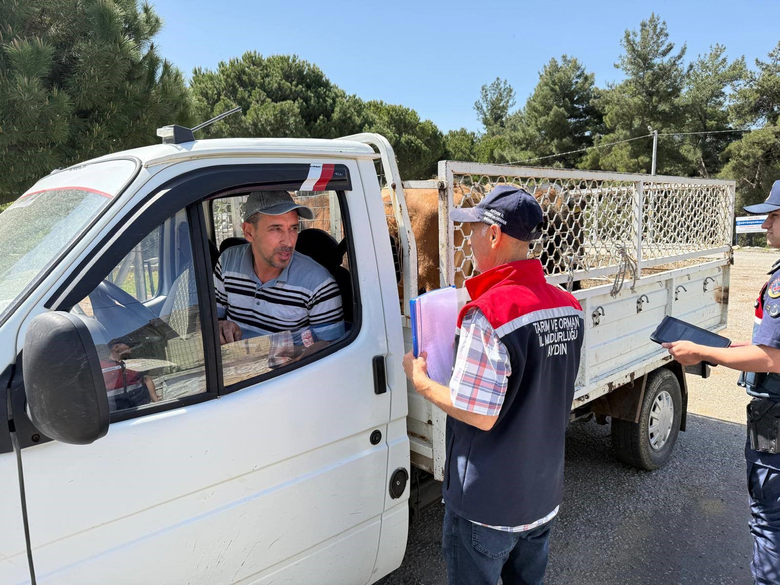 Aydın’da Hayvan Taşıyan Araçlar Tek Tek Incelendi
