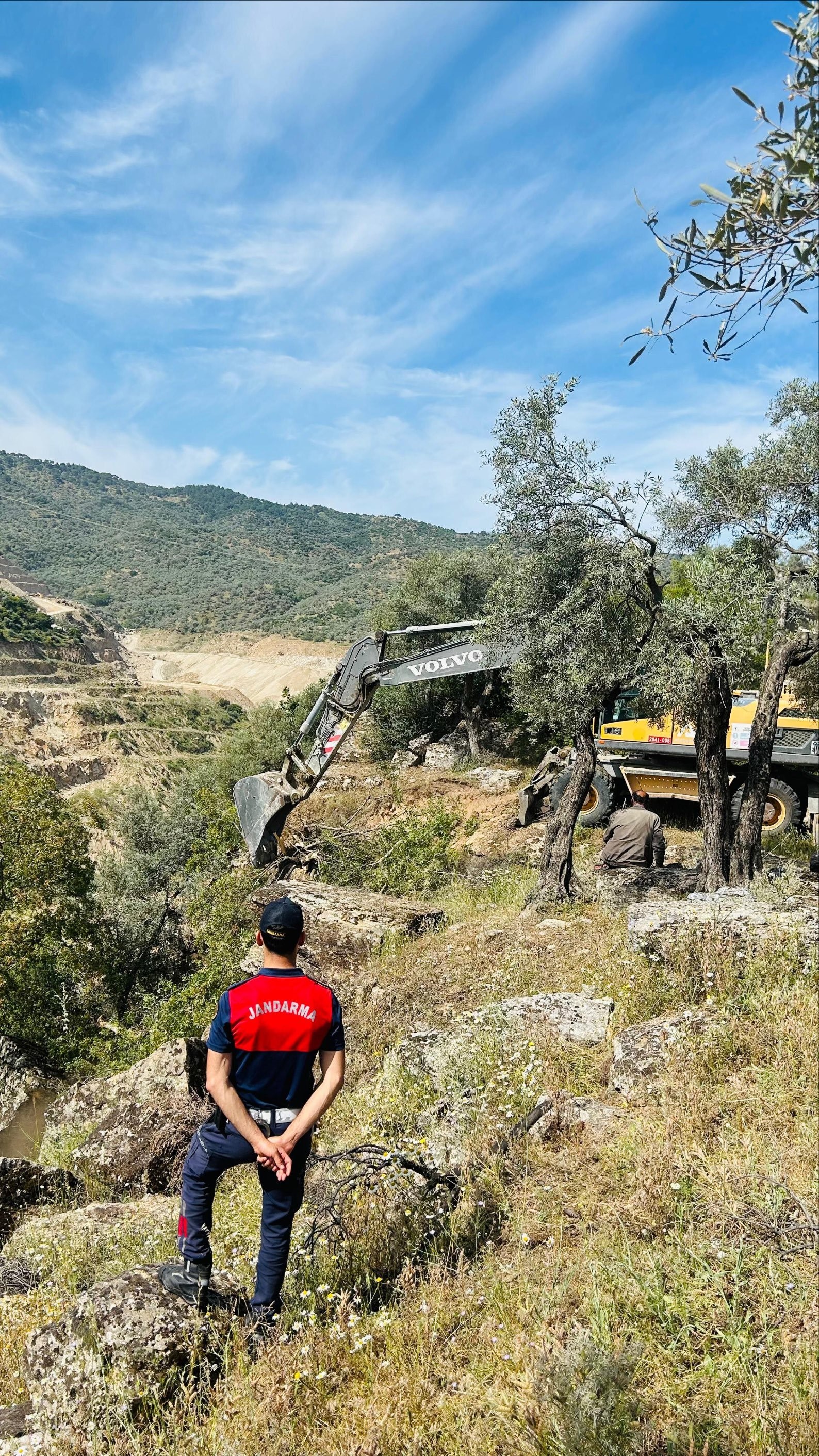 Aydın’da Kaybolan Inekler Uçurumda Bulundu (2)