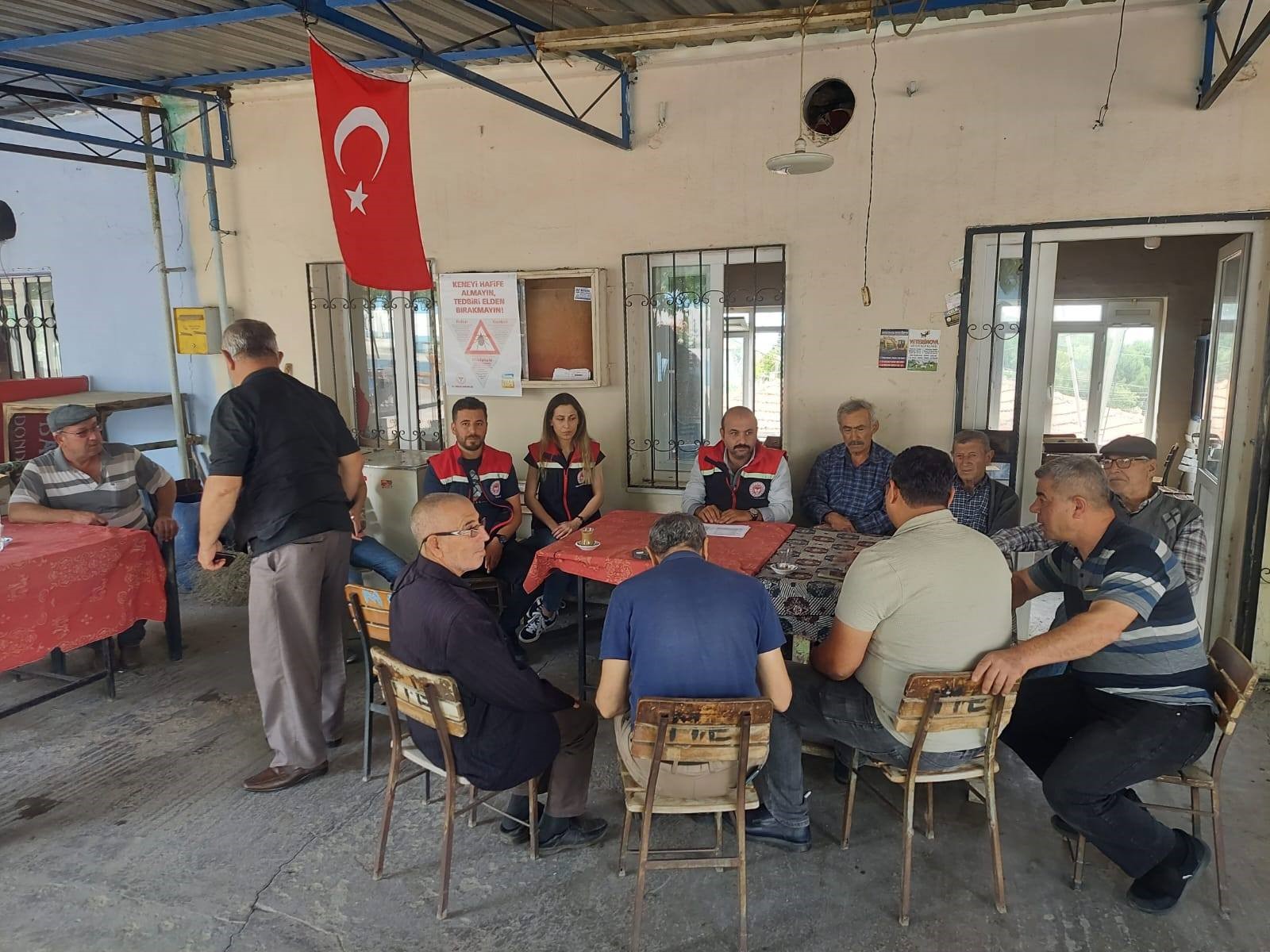 Aydın’da Pamuk Ve Zeytinde Alarm
