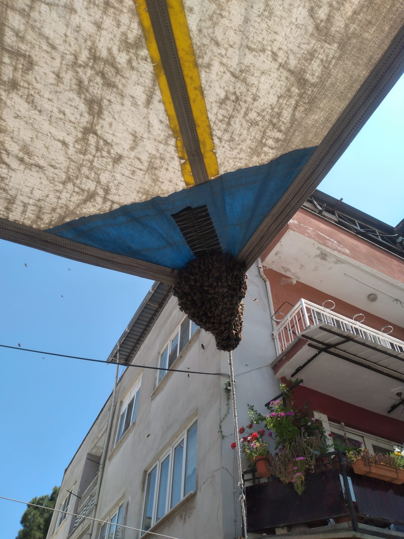 Aydın’da Pazar Çadırını Sardılar (3)